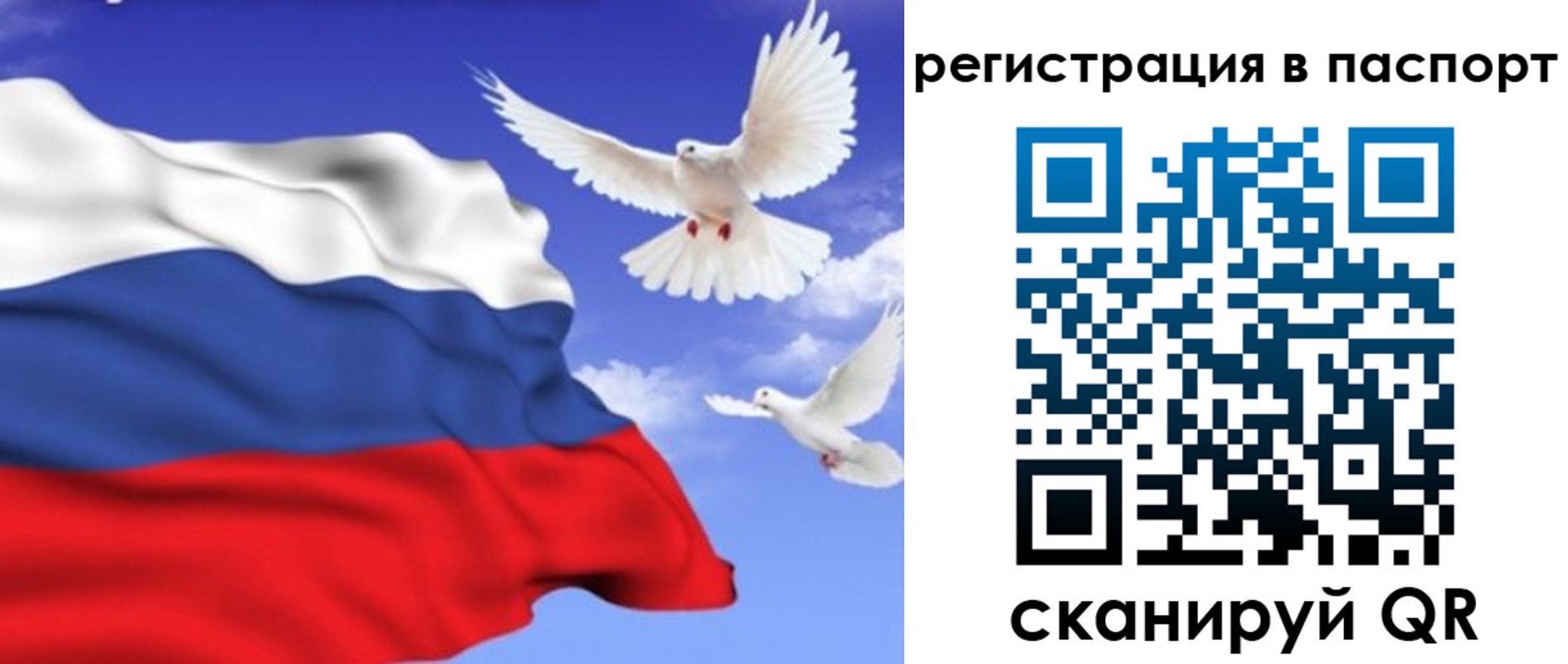 купить прописку в Лихославле